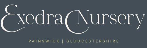  Exedra Nursery